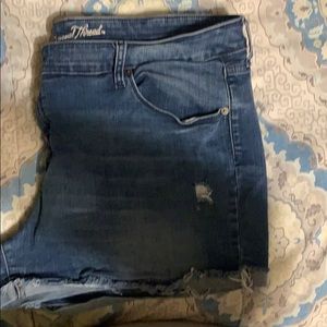 Universal Thread Shorts